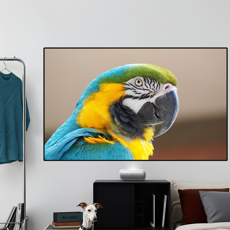 2026年 HOT ALR PET クリスタルブラックグリッ - Alr Ambient Light Rejecting Projector Screen のレビューと価格