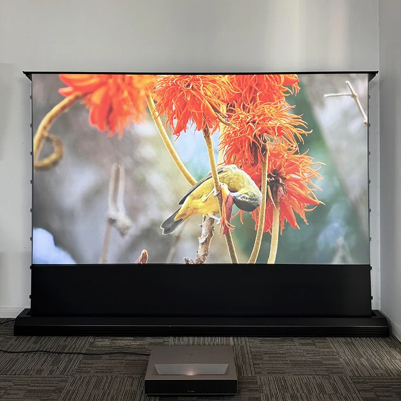 120インチ電動フロア昇降式ALRプロジェクタースクリーン、 - Projector Screen 120 Inch Motorized Ambient のレビューと価格