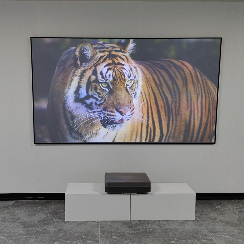 VisualMr ブラックグリッド ALR UST プロジェ - Alr Ambient Light Rejecting Projector Screen のレビューと価格