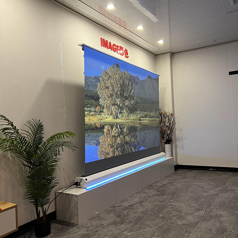 Visualmr-電気フロアレイジングアラーブラックダイヤモ - Alr Ambient Light Rejecting Projector Screen のレビューと価格