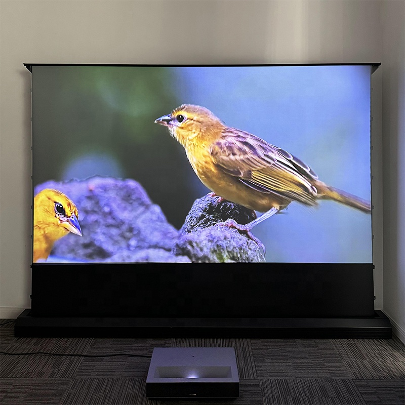 120インチの電動昇降式ALR（アンビエントライトリジェクテ - Alr Ambient Light Rejecting Projector Screen のレビューと価格